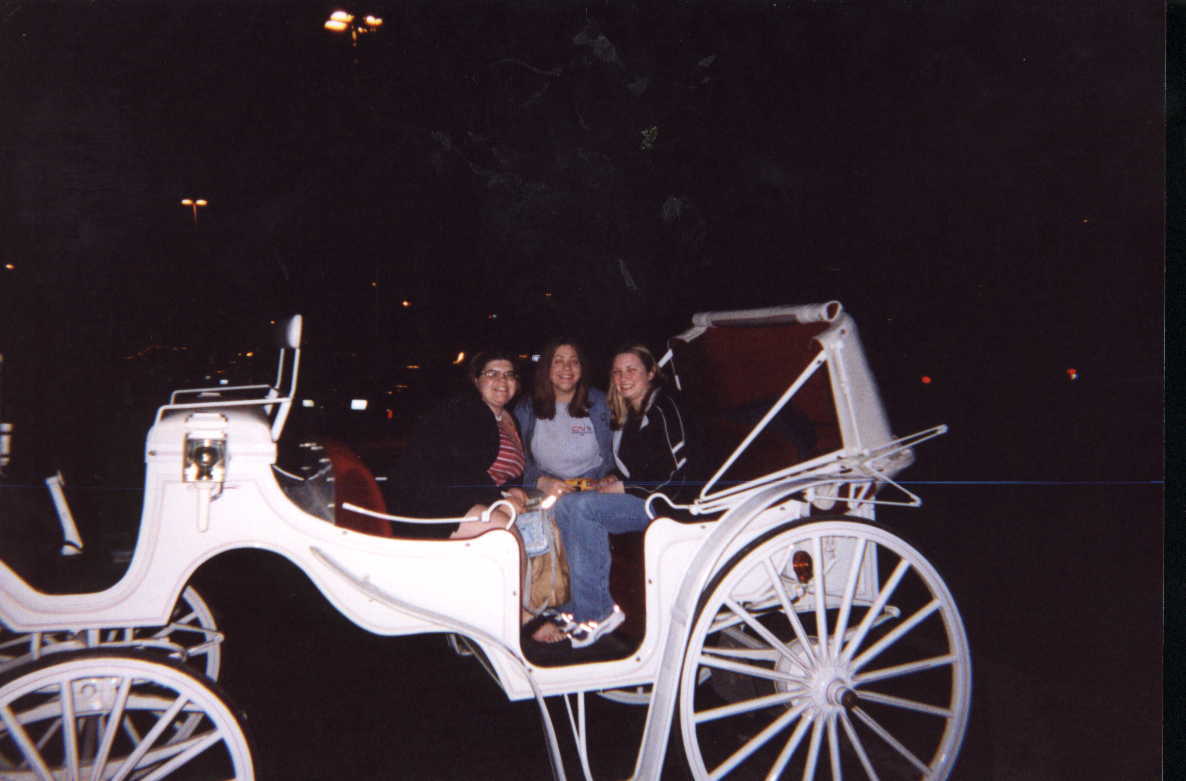 carriageride.jpg